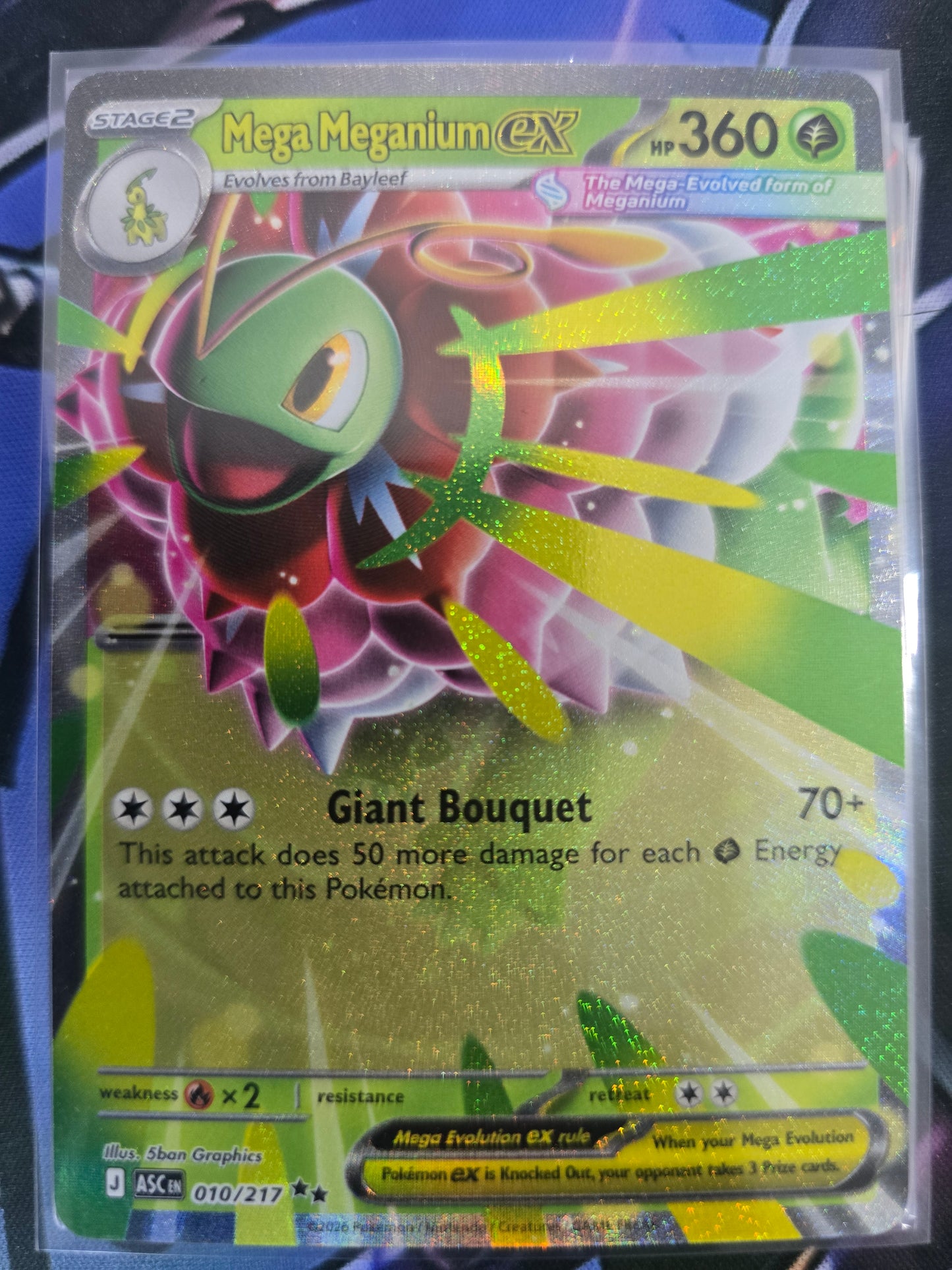 Mega Meganium EX