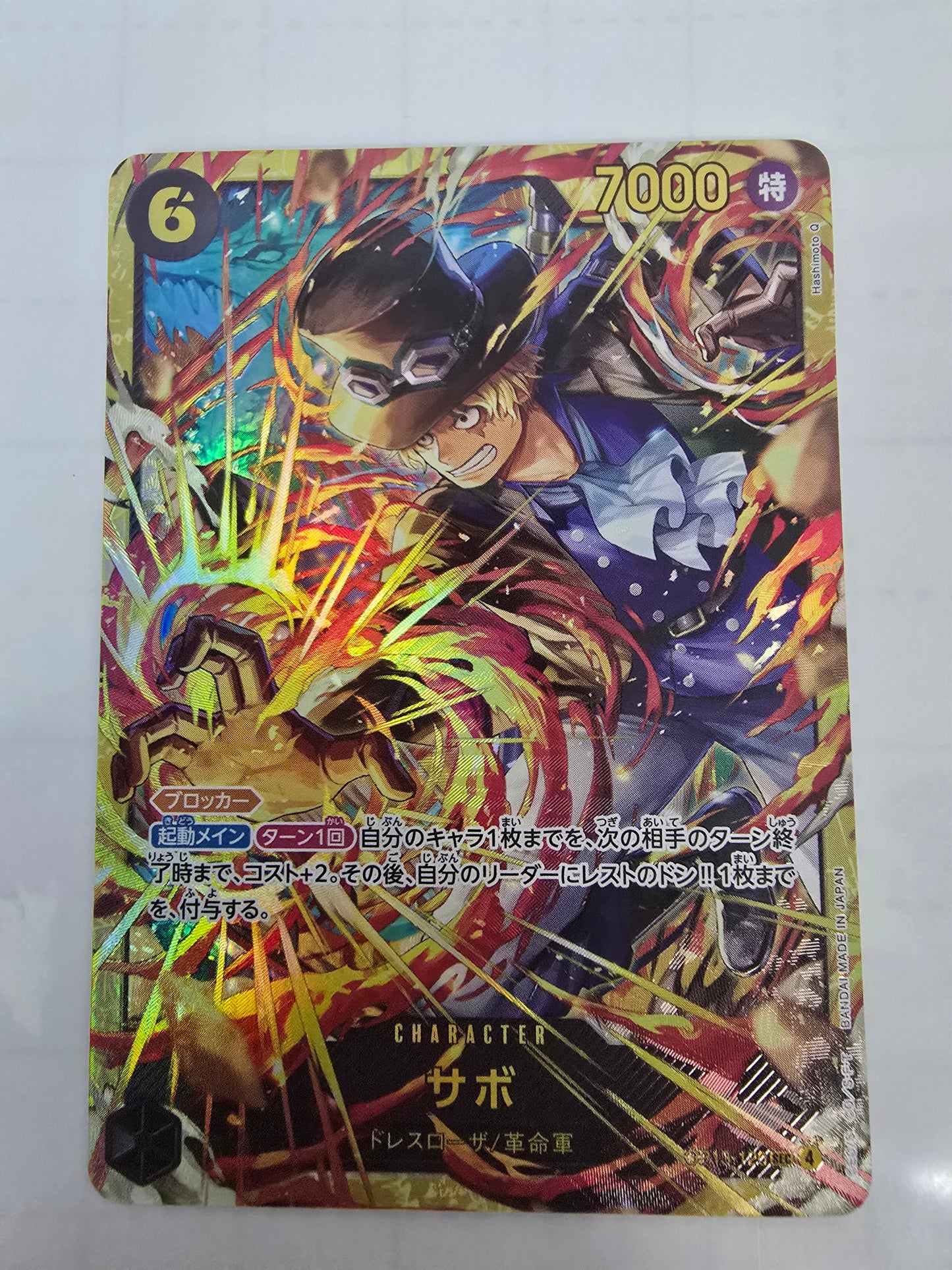 SABO SEC OP13-120