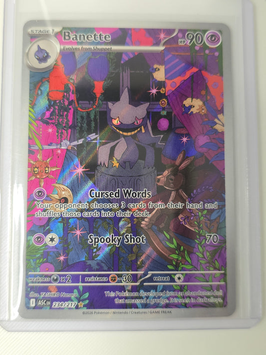 Banette 234 217