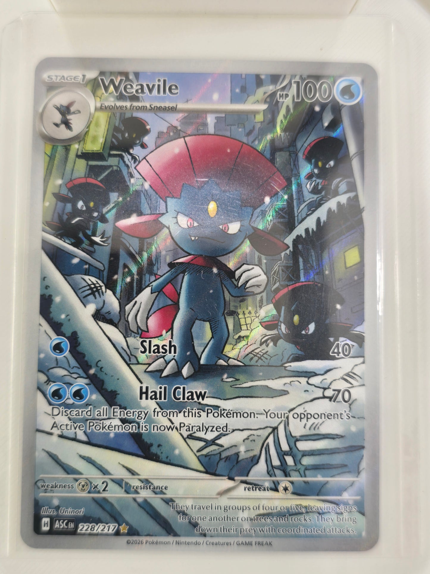 Weavile 228 217