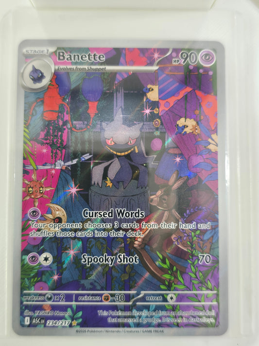 Banette 234 217
