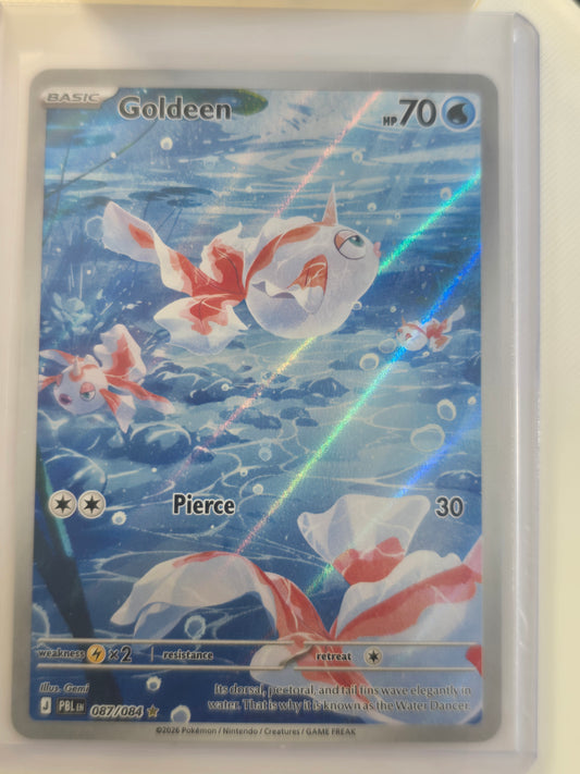 Goldeen 087 084