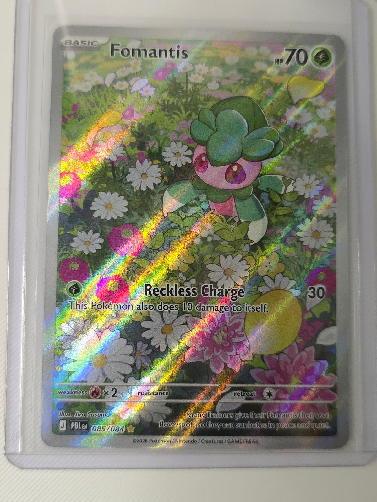 Fomantis